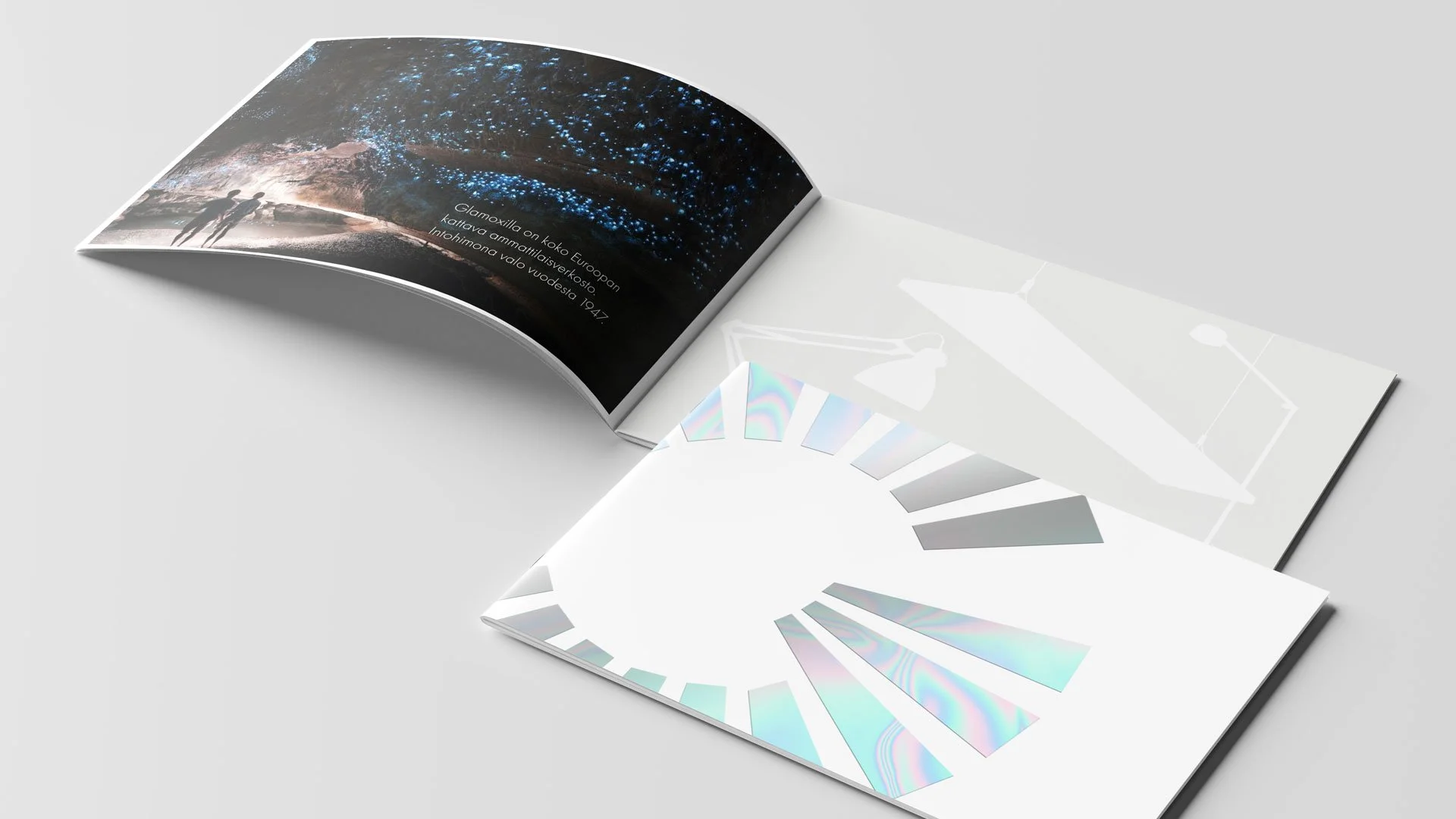 Käytimme koko sivun kuvia kontrastina graafisiin sisäsisivuihin