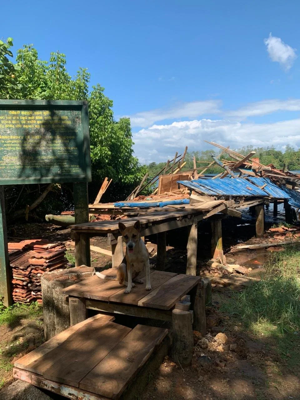 WhatsApp Image 2026-01-11 at 14.44.56 (1).jpeg