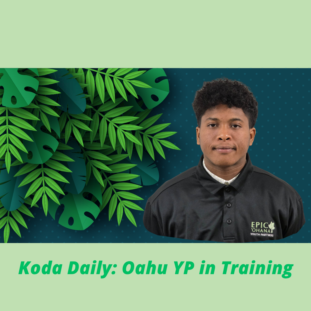 Koda pic for website.png