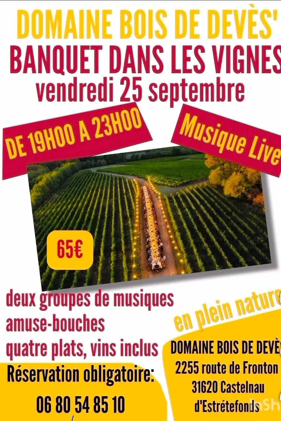 Banquet dans les vignes
