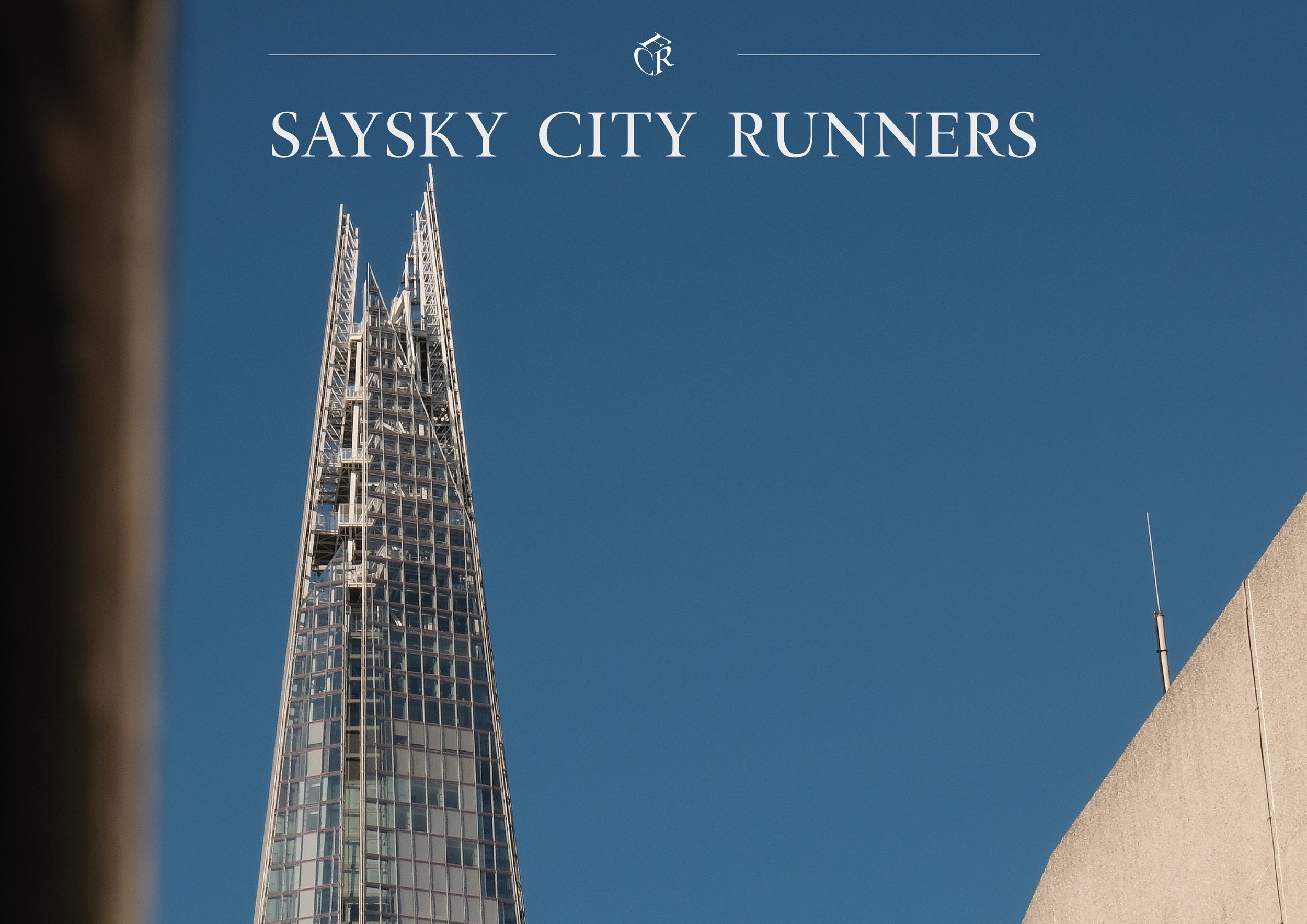 Saysky cover.jpg