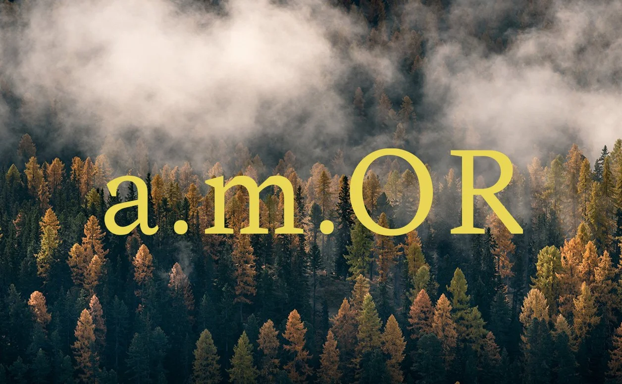 Engadin x ODLO x Filip Zuan – a.m.OR