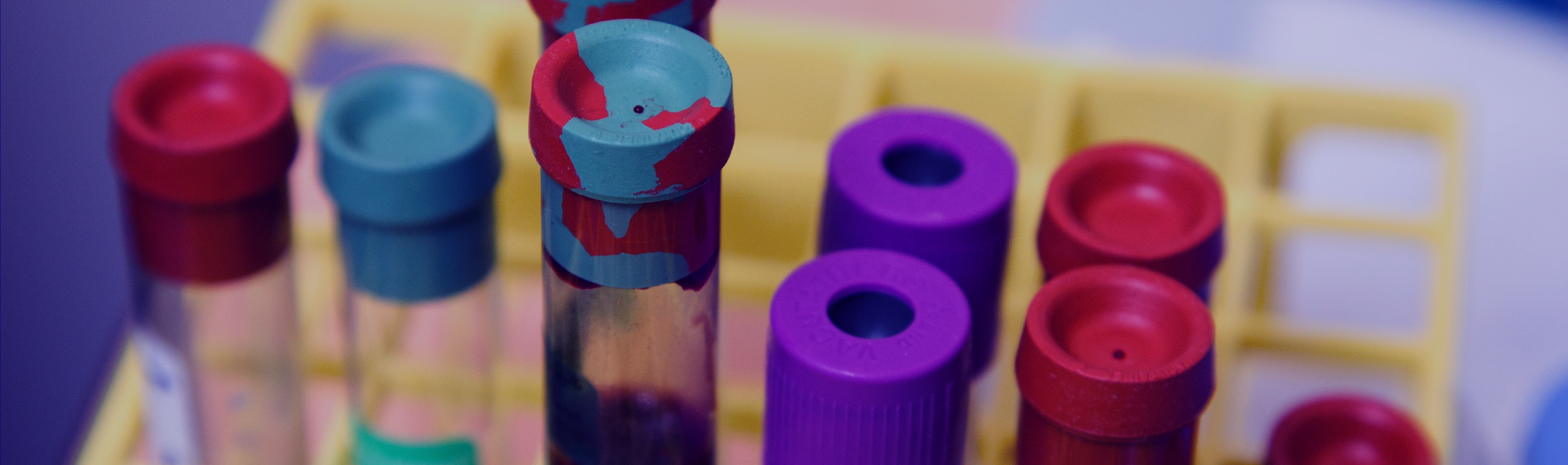 header-m1 copy 2.png