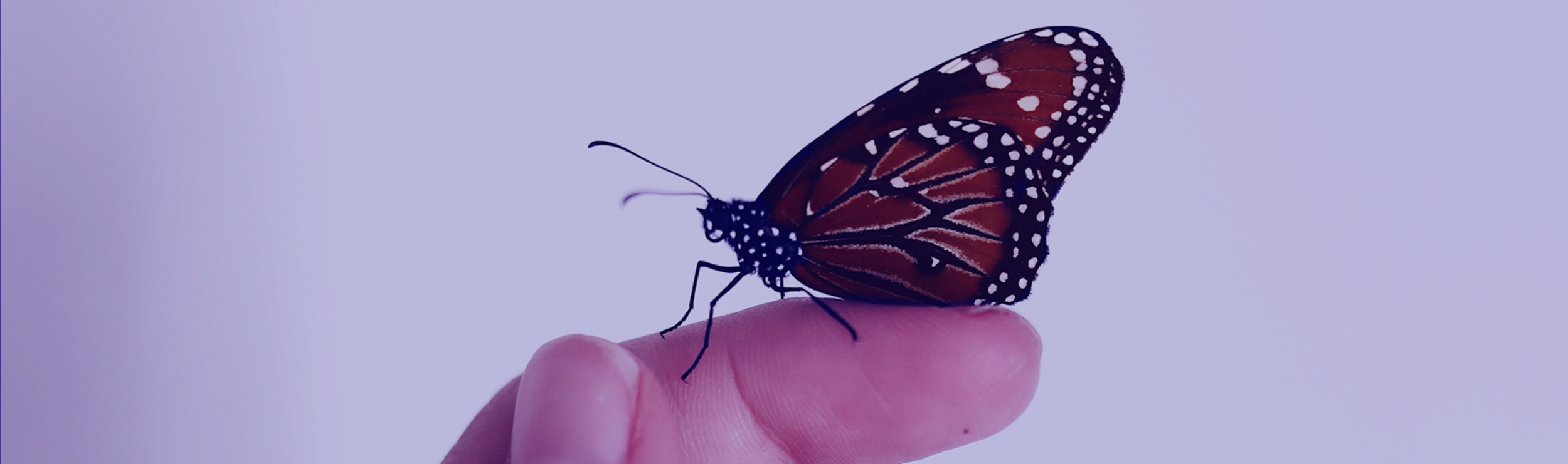 header-m1.png