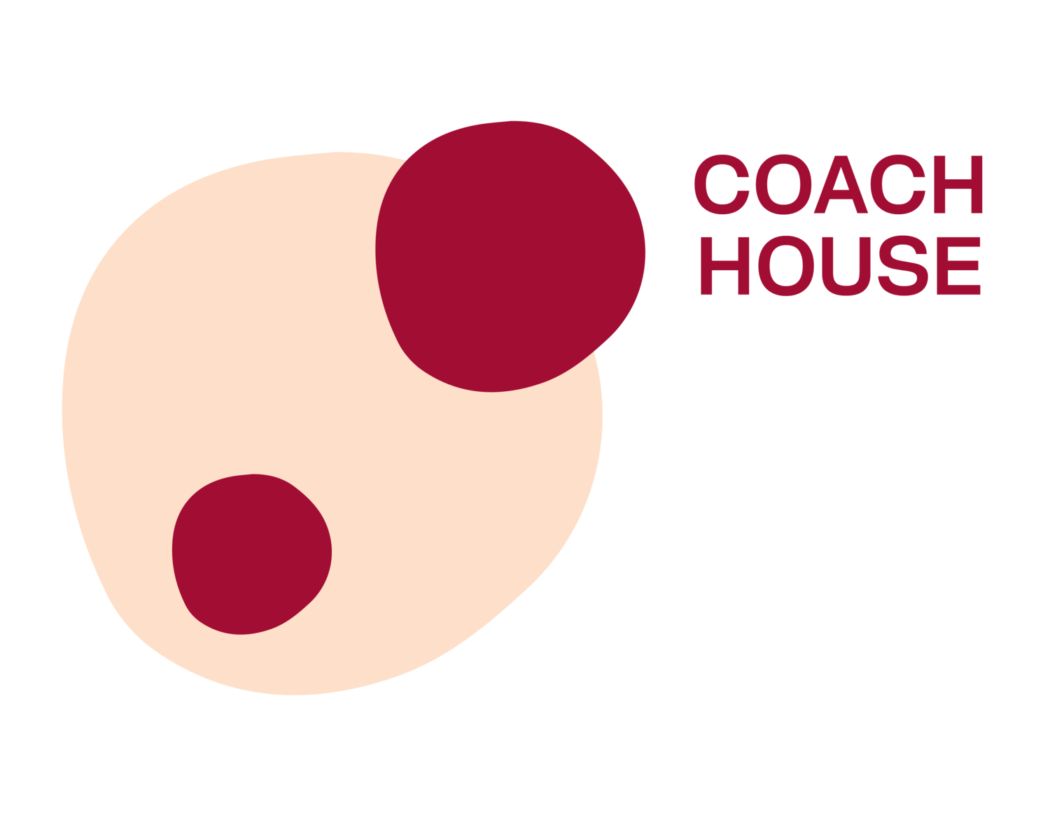 Coach House Consulting 
