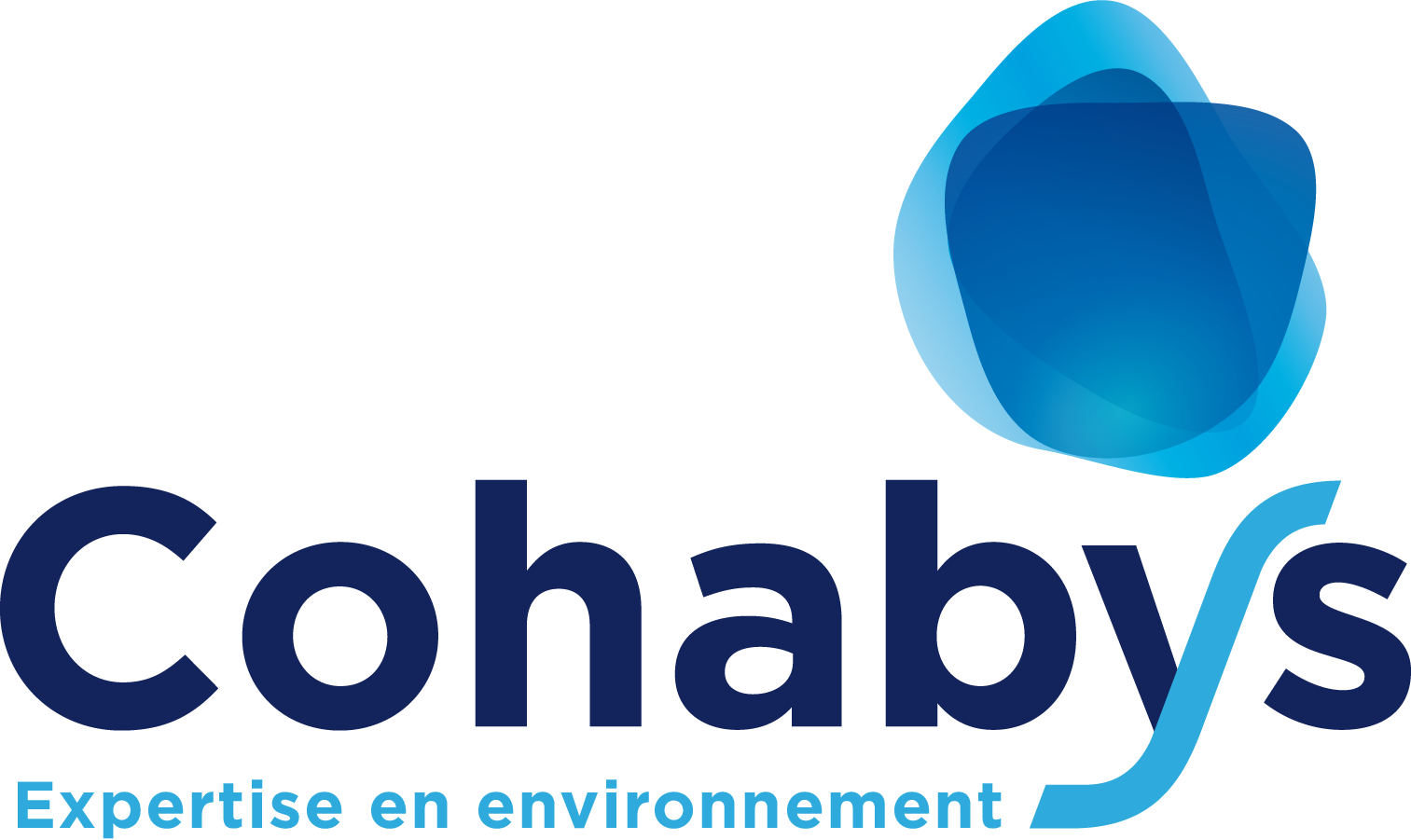 logo-cohabys.png