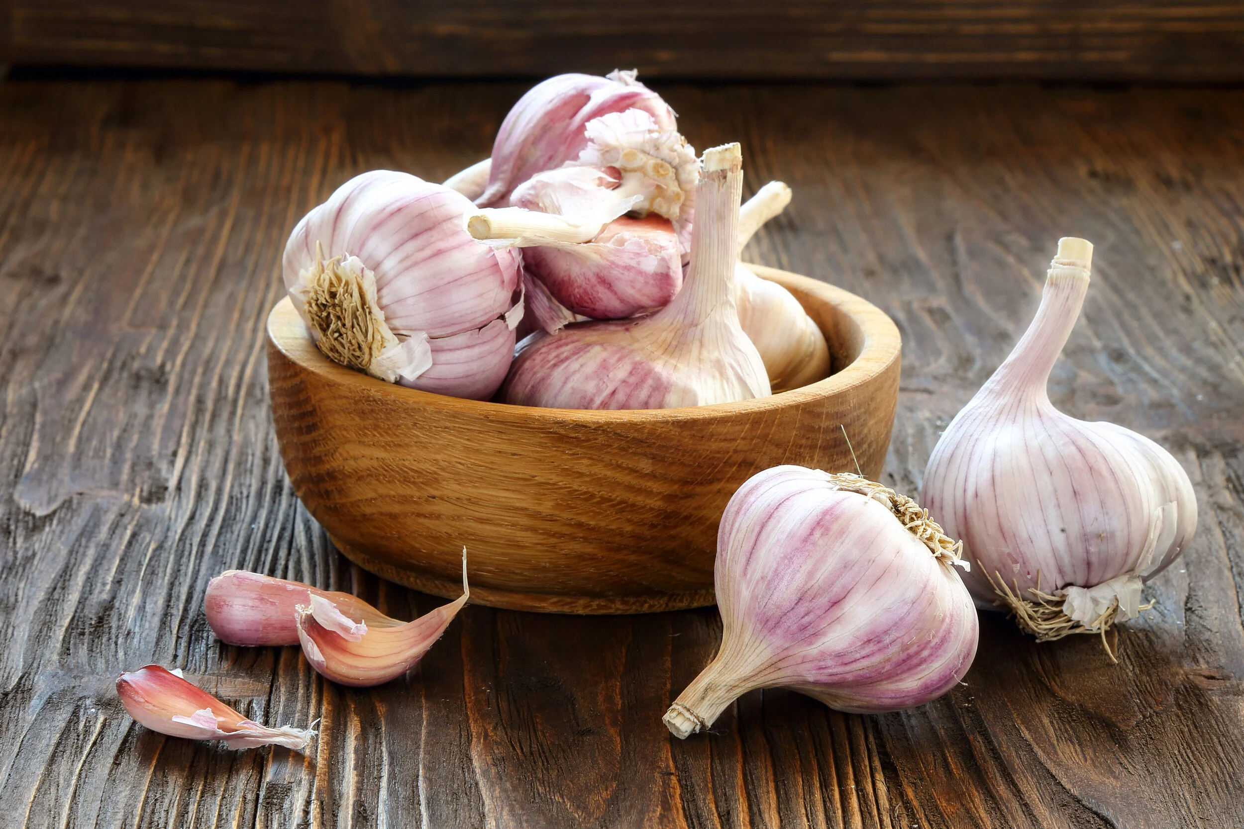 Garlic and Digestive Health