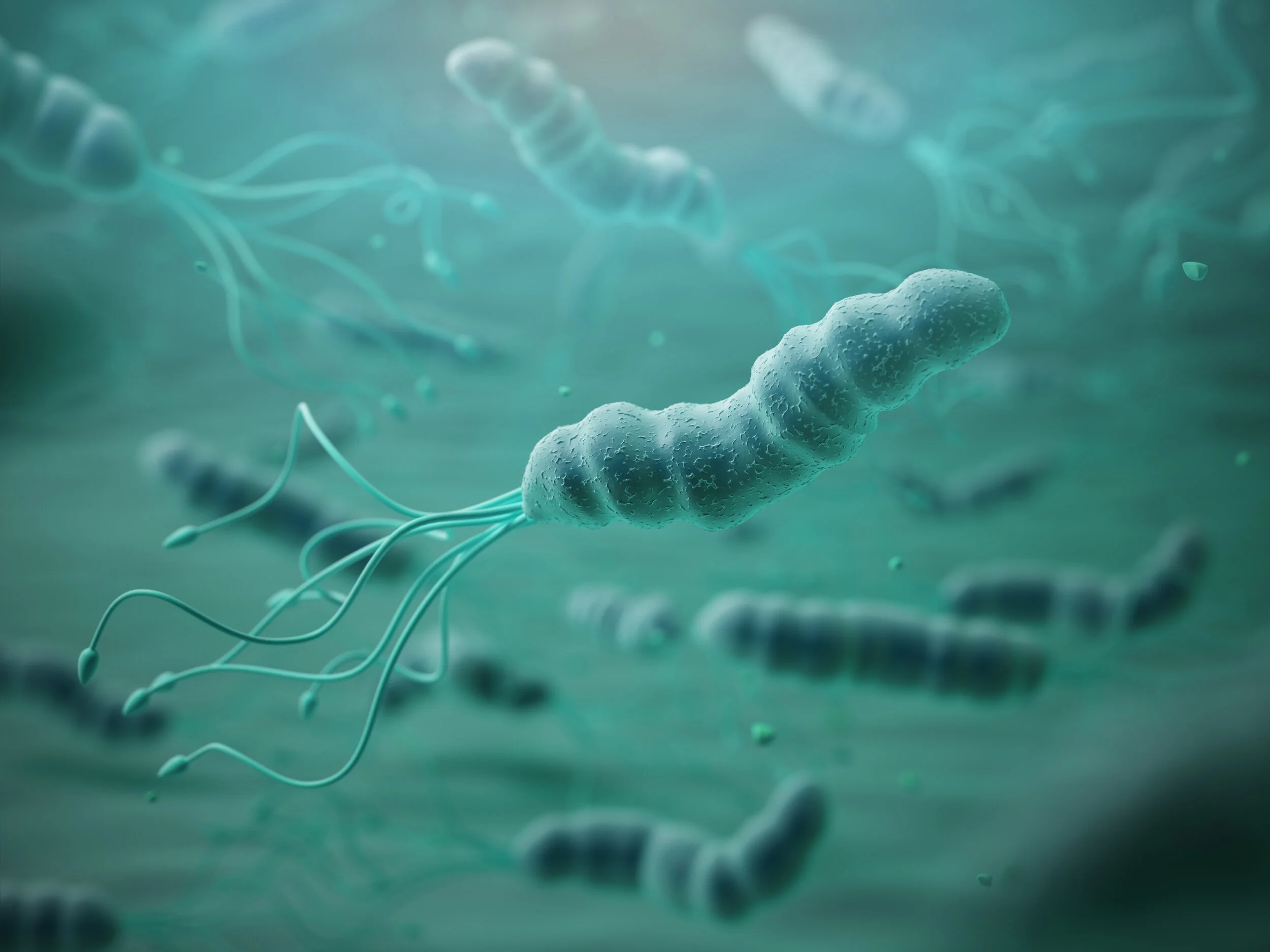 ‘Helicobacter Pylori’: more than just a stomach bug’?
