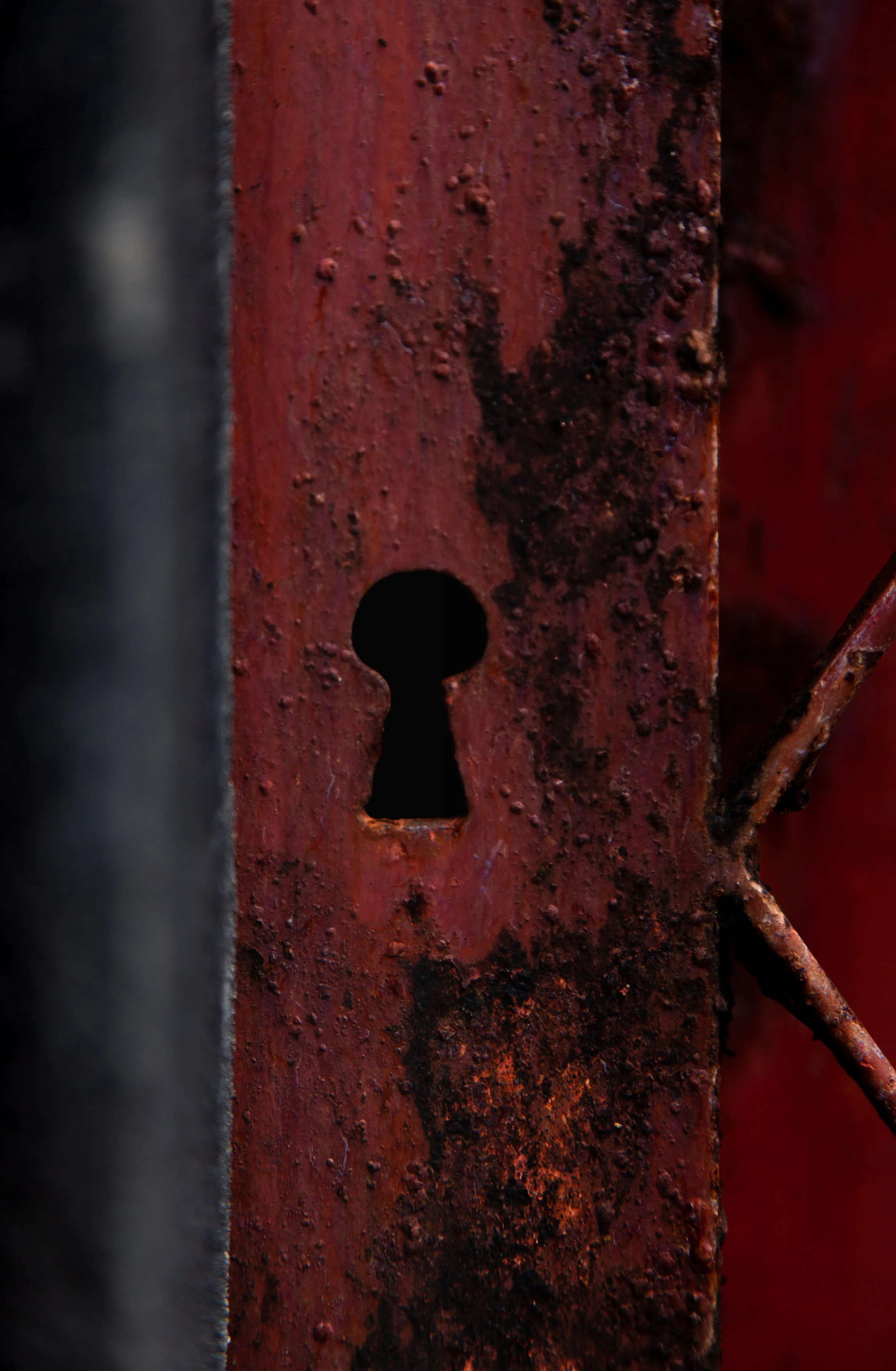 Peeking Through the Keyhole at Life
