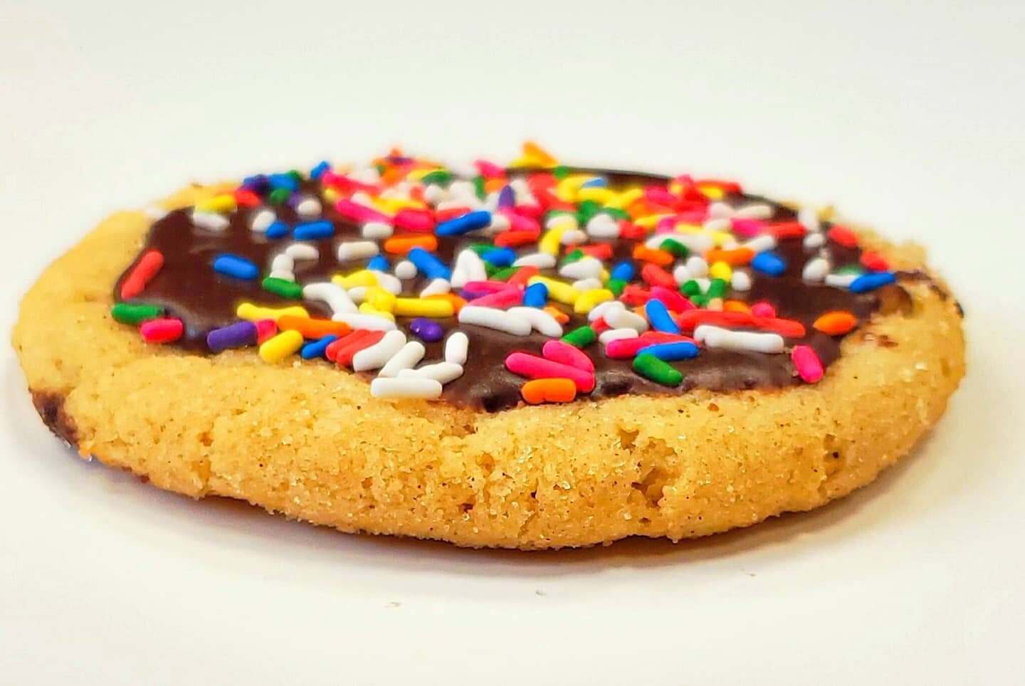 donut cookie.jpg