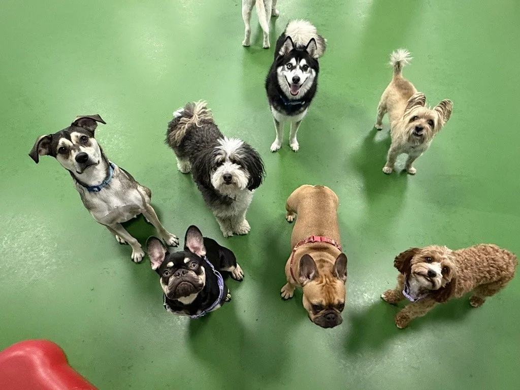 Image - 2025-10-13T134254.614.jpg