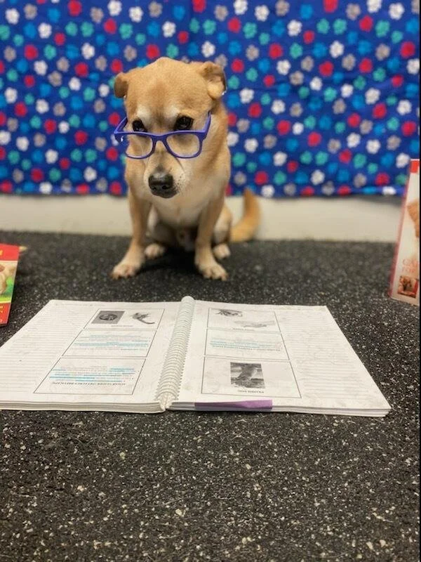 MicrosoftTeams-image (3) (1).png