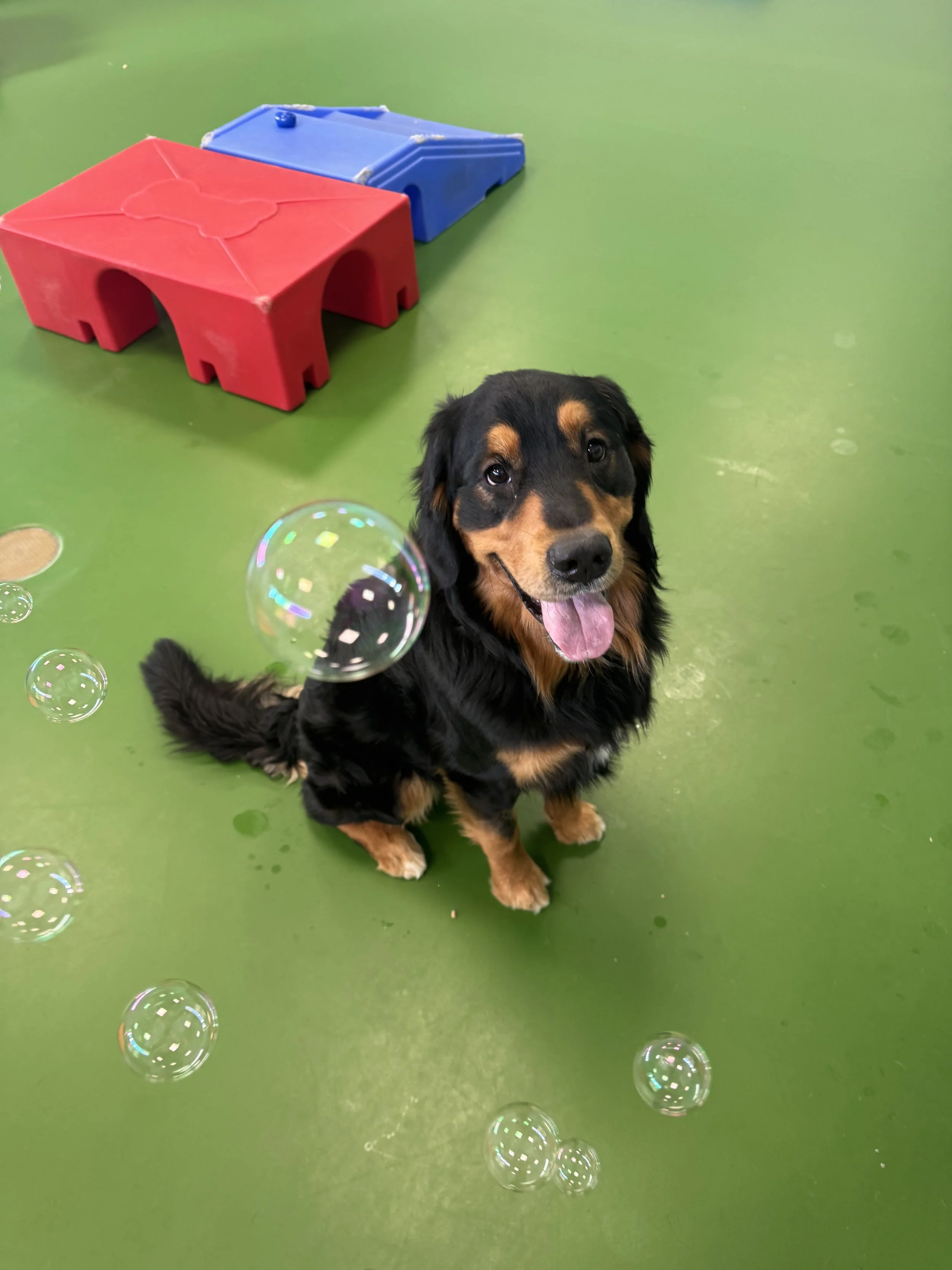oakley with bubbles.jpg