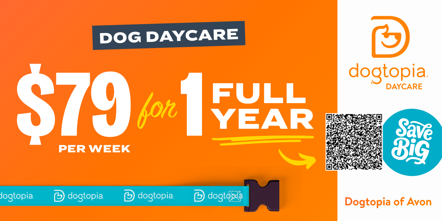 Dogtopia Avon0.png