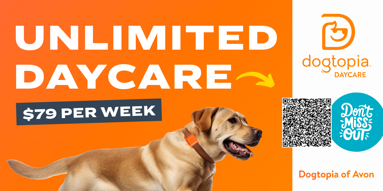 Dogtopia Avon1.png