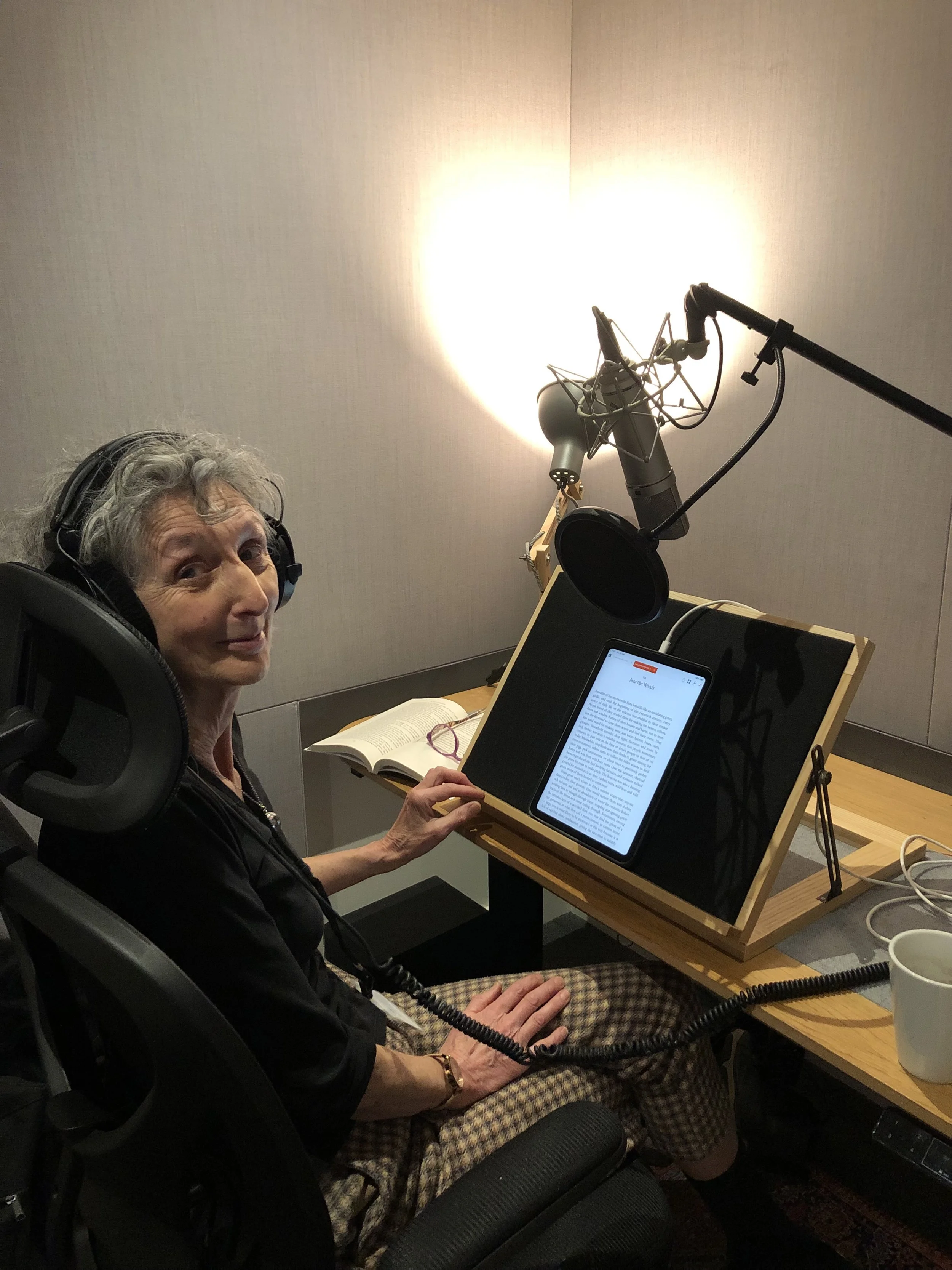 the fire in the mountain audiobook