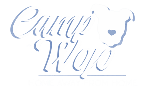 Camp Wojo