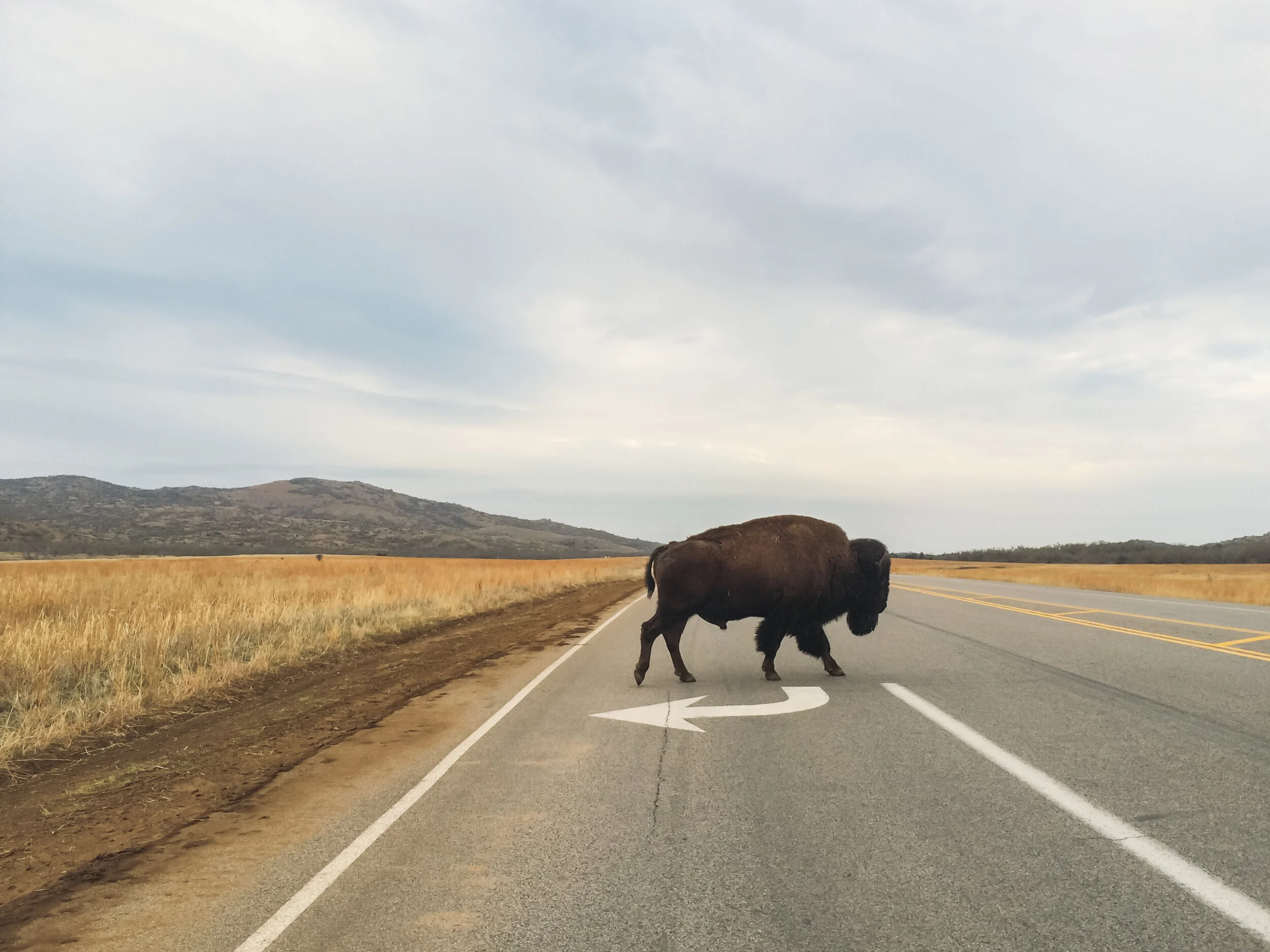 Cottages on the Prairie Pawhuska Airbnb