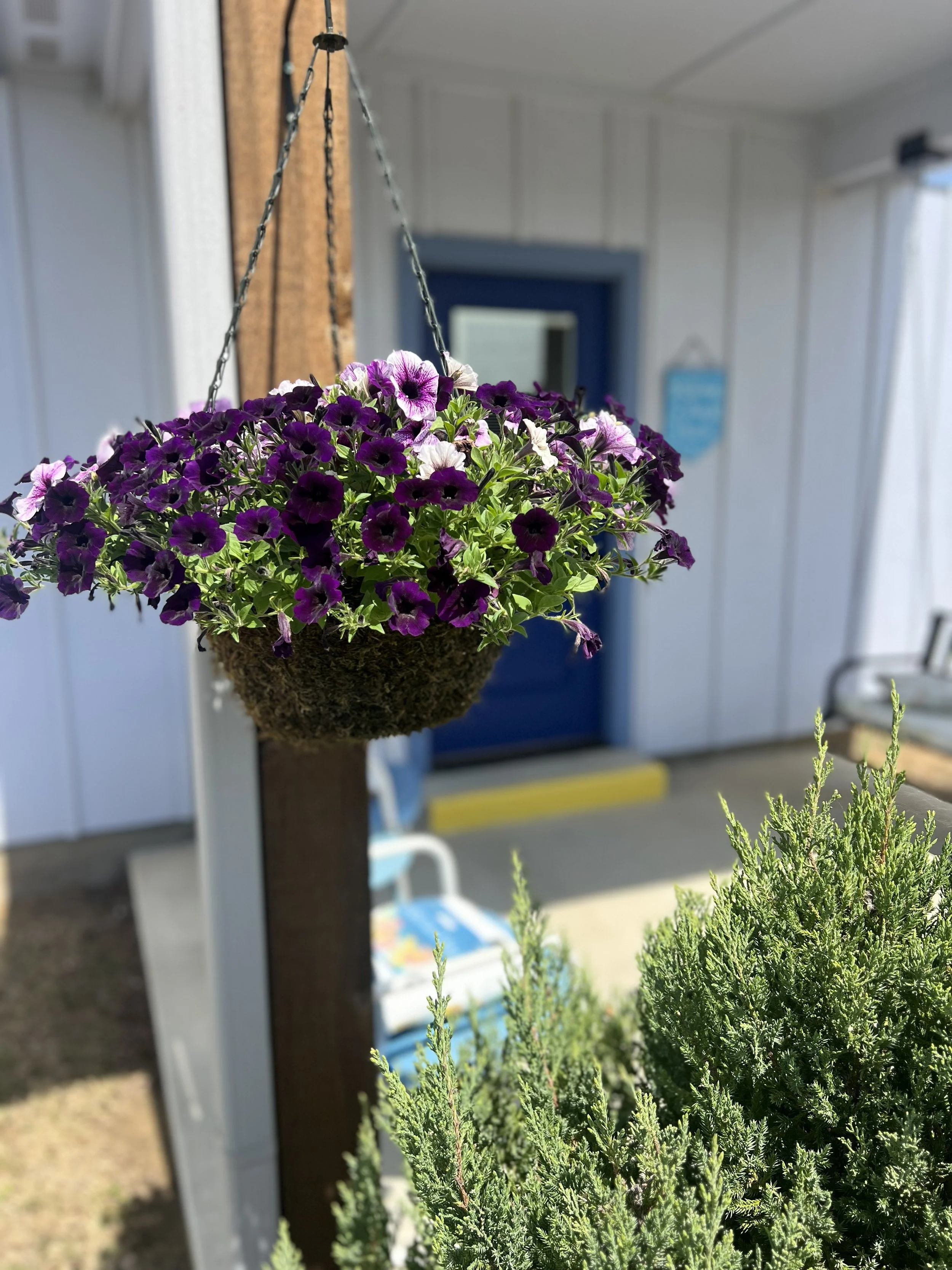 IMG_0696.jpeg