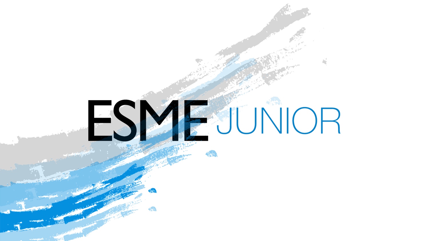 ESME Junior Empresa