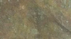 new_button4.jpg