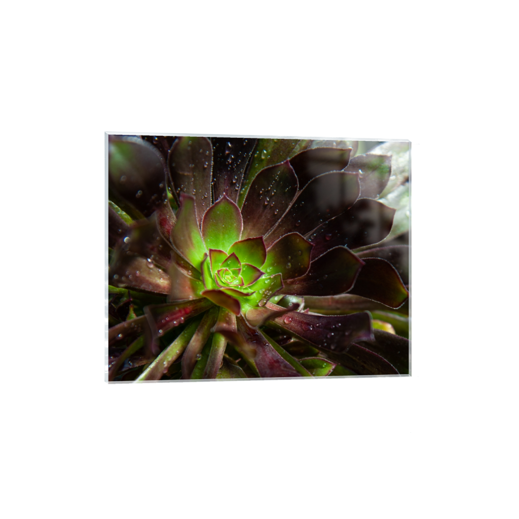 acrylicprint_rectangle4_5_8_0_2247_1798_0_false_ffffff_0_0.png