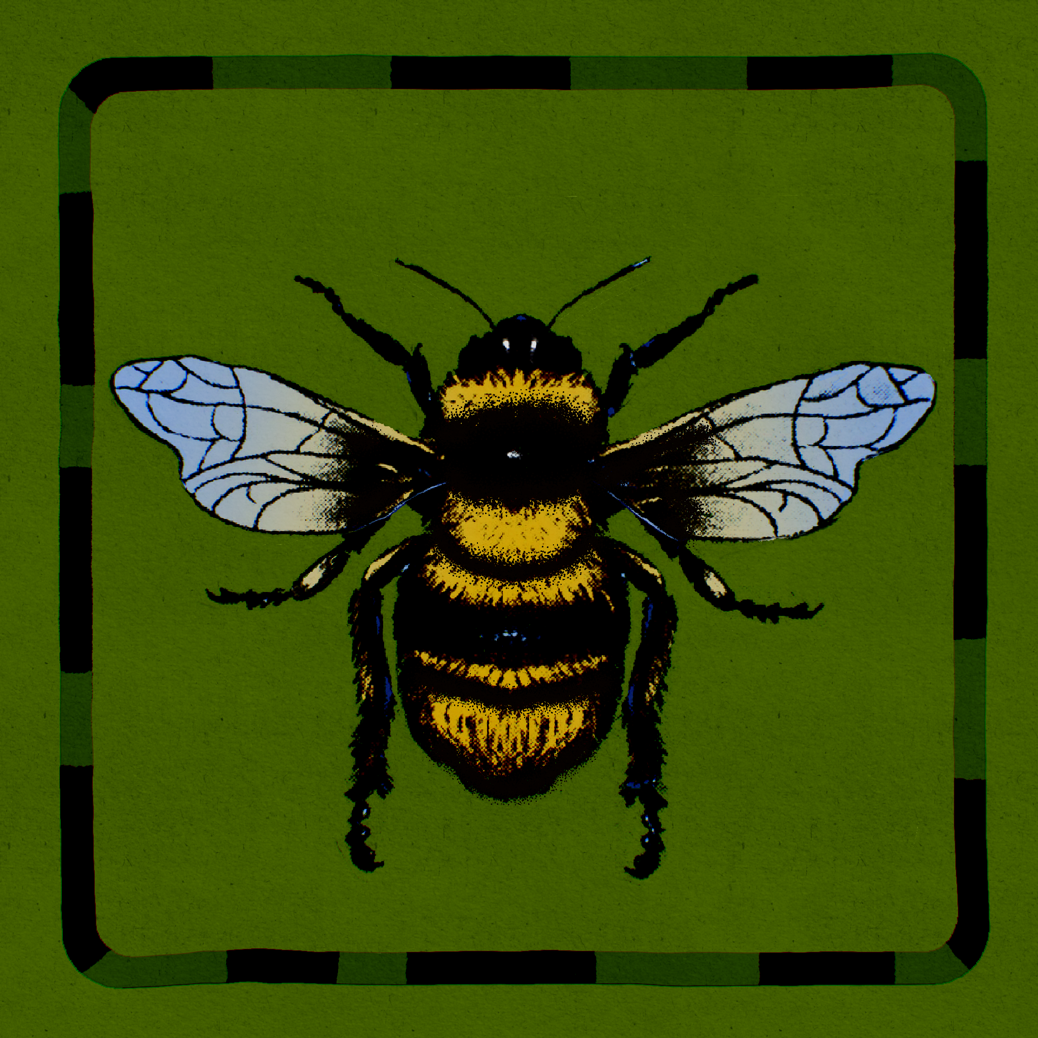 Untitled_Artwork 1.png