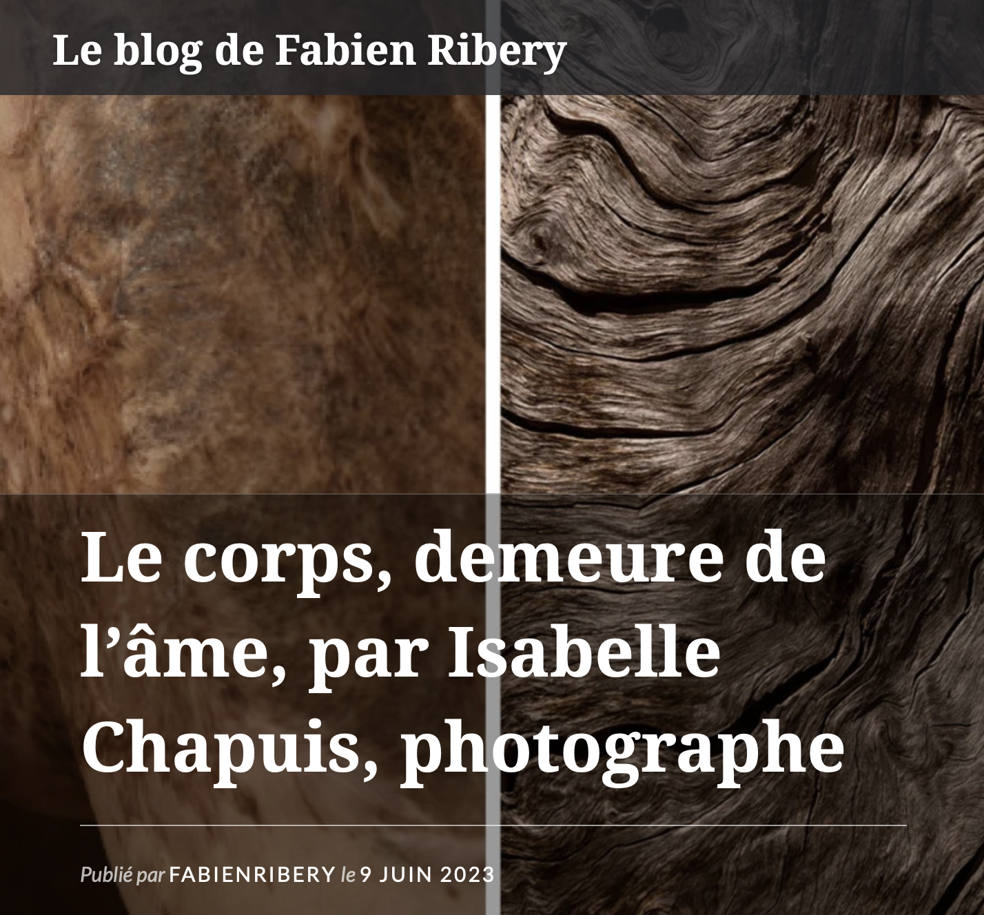 Isabelle Chapuis Le blog de Fabien Ribery