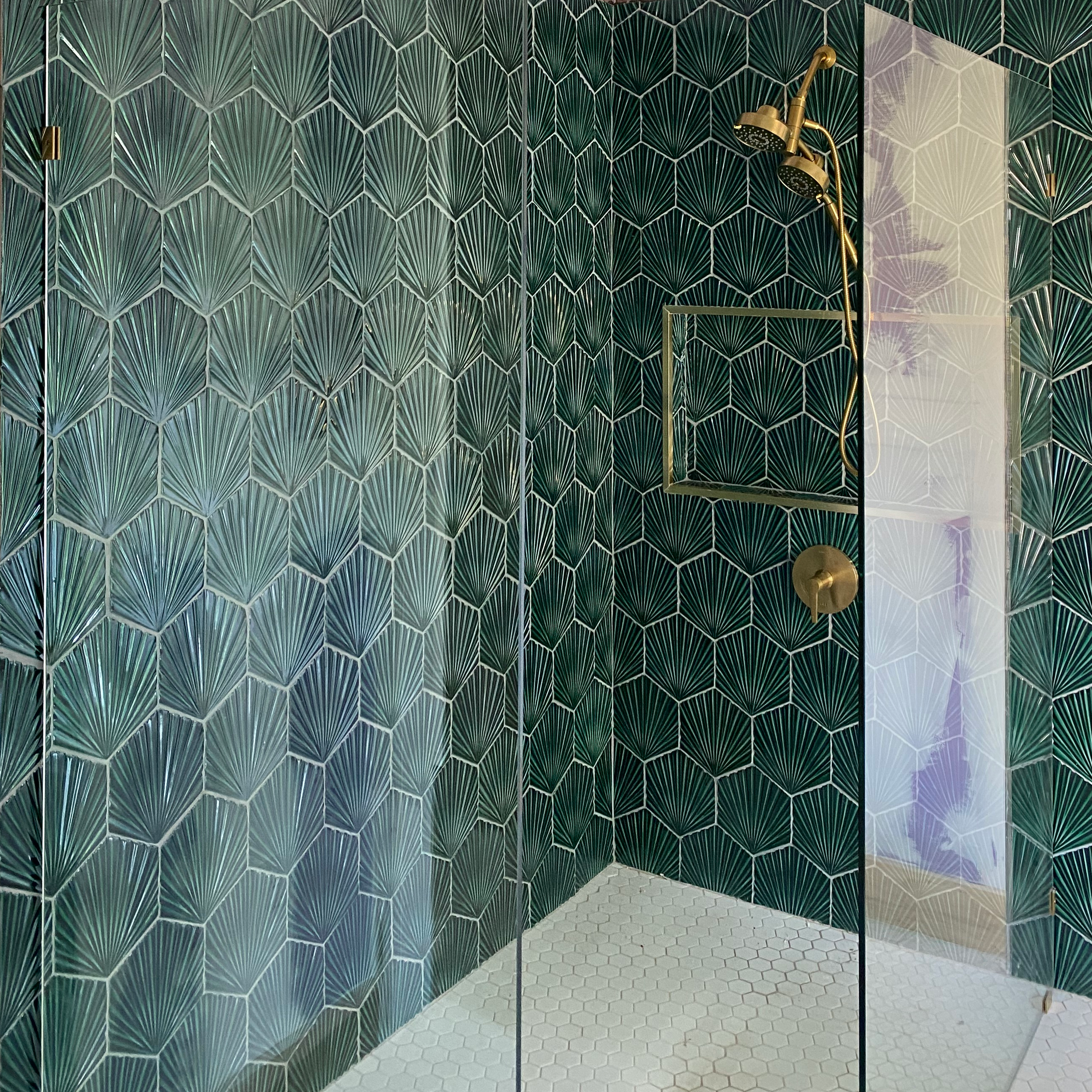 Blankenship_CongressShower.png