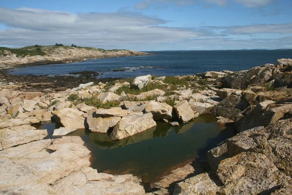 Land Protection — Vinalhaven Land Trust