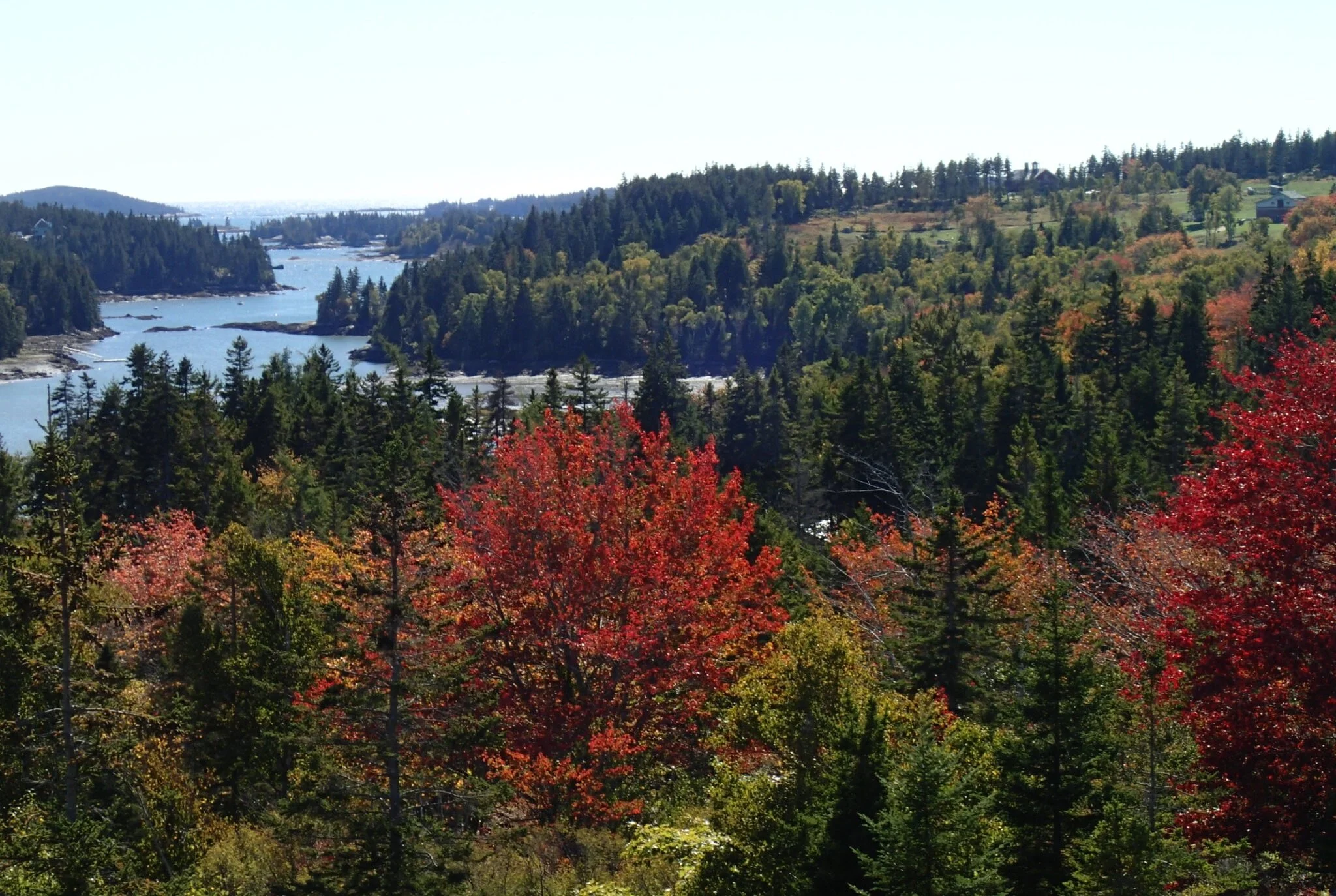 Land Protection — Vinalhaven Land Trust