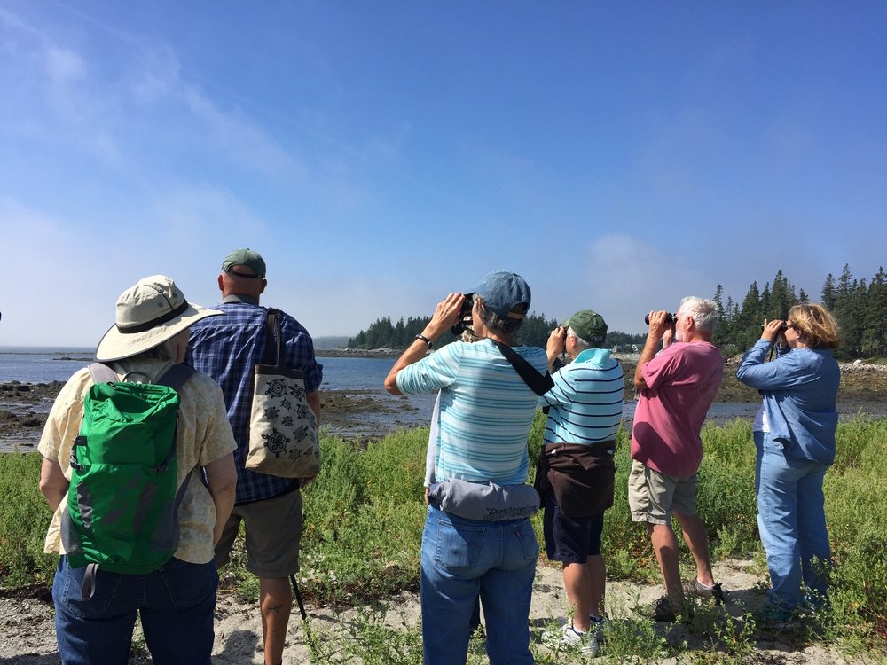 Calendar — Vinalhaven Land Trust