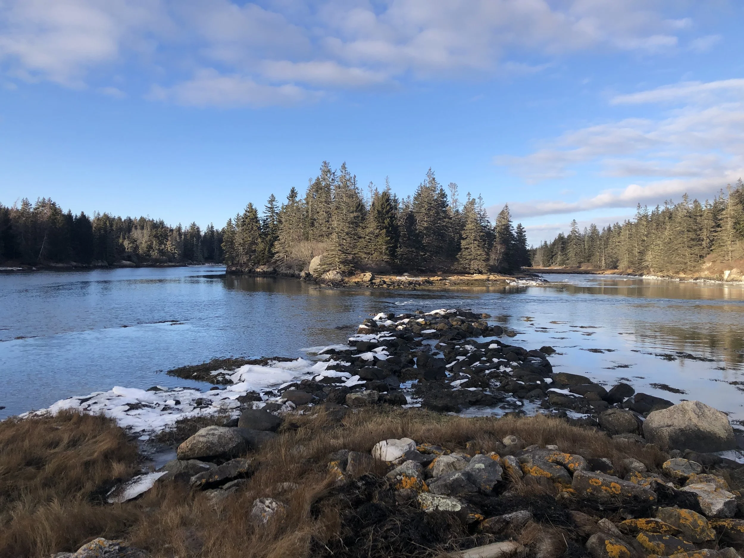 Vinalhaven Land Trust