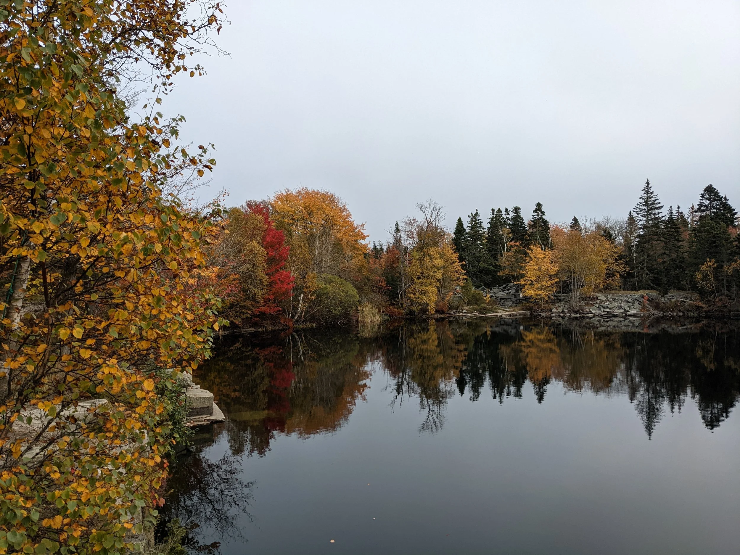 Vinalhaven Land Trust