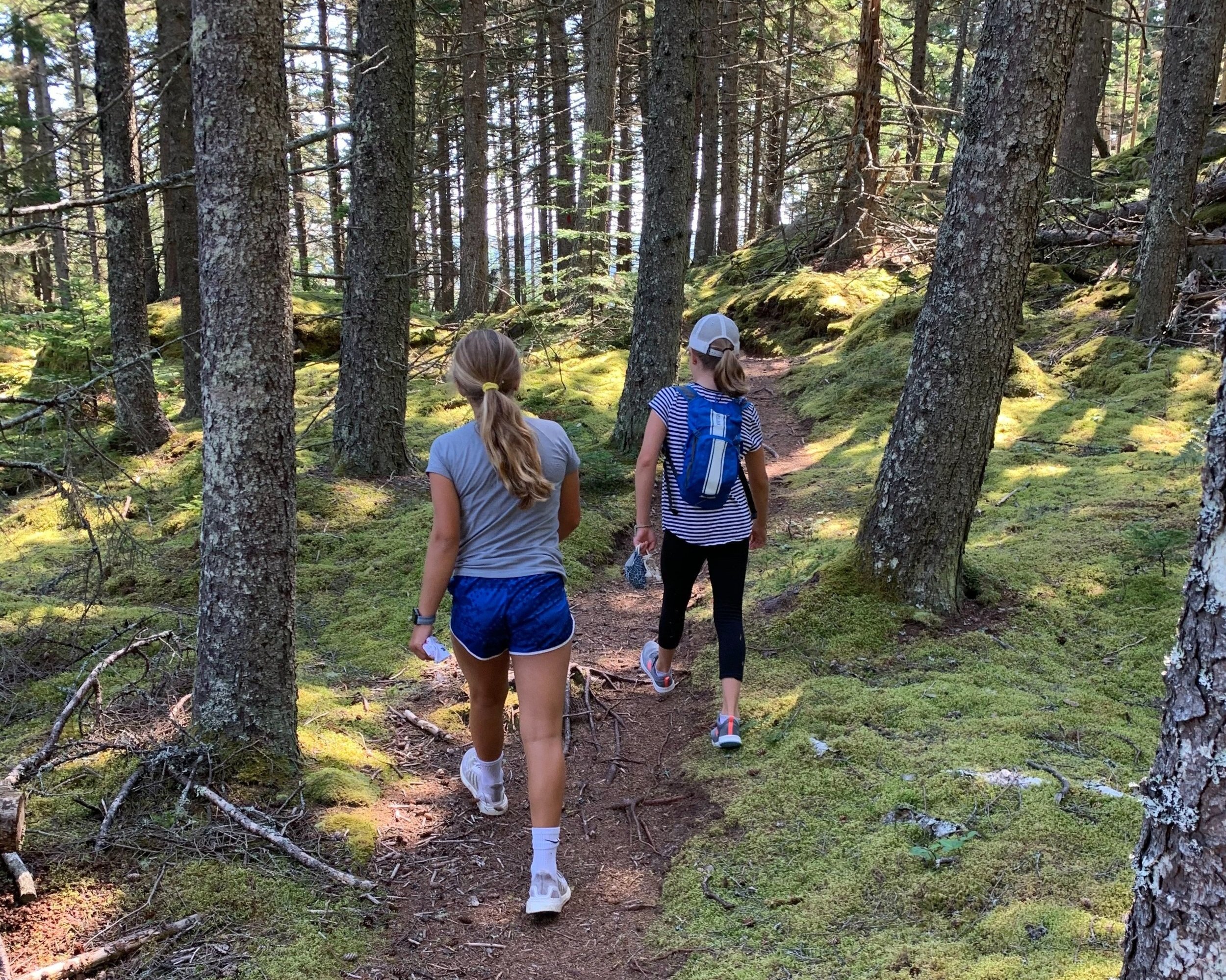 Granite Island and Story Trails — Vinalhaven Land Trust