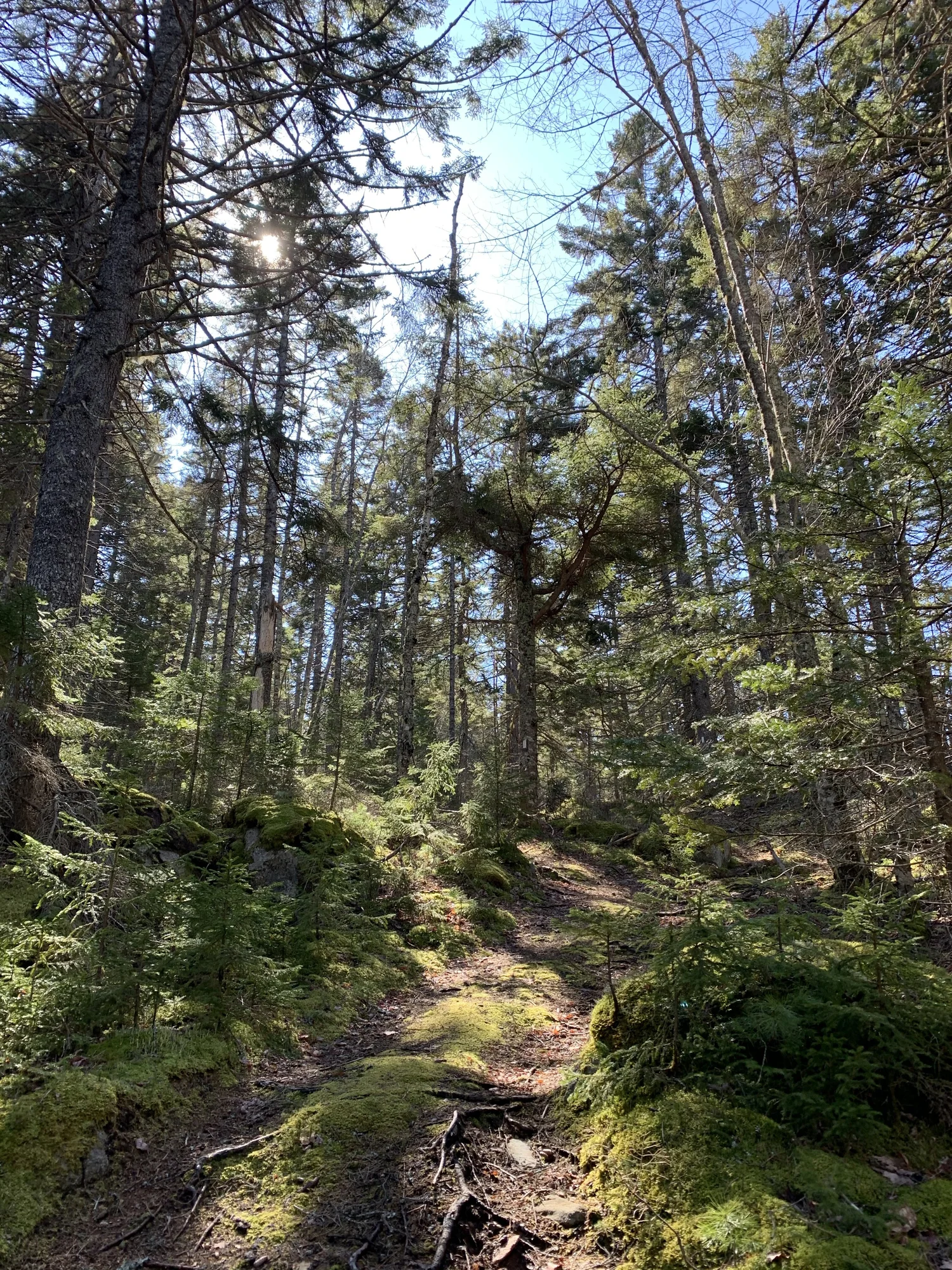 Watershed Preserve — Vinalhaven Land Trust