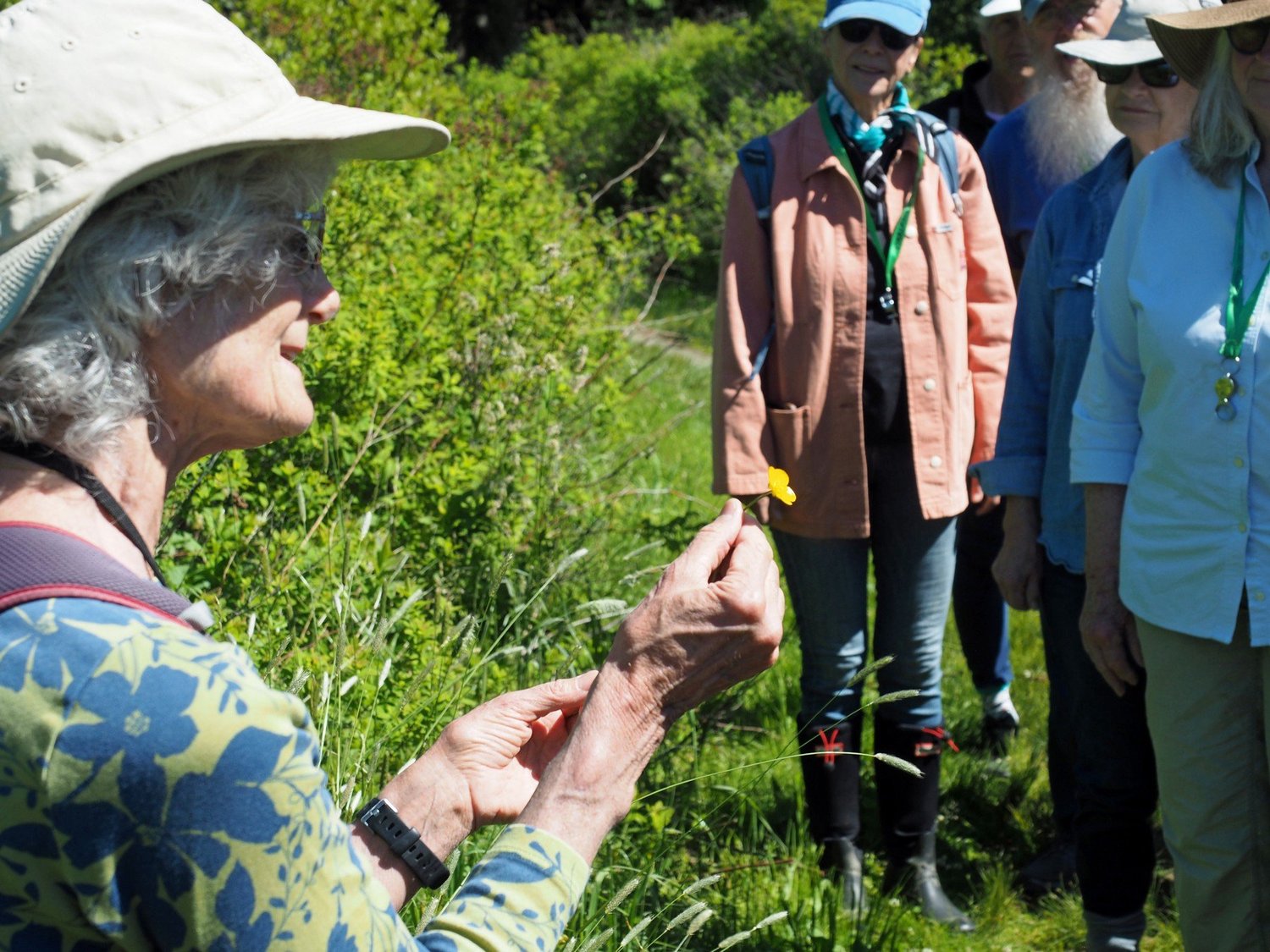 Vinalhaven Land Trust
