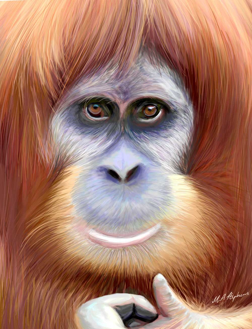 orangutan-2019.jpg