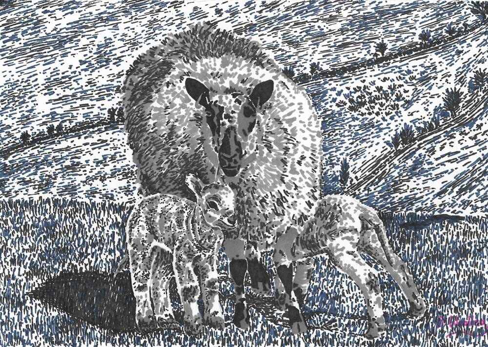 SHEEP-AND-LAMBS-2019.jpg