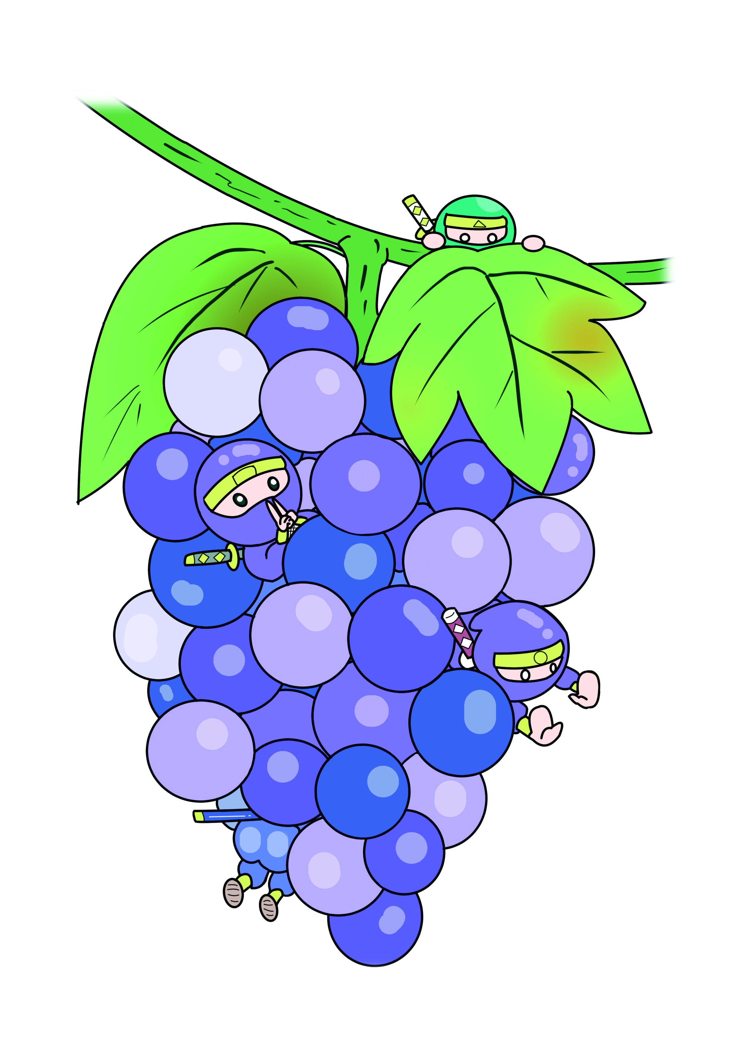grape-ninja-2019.jpg