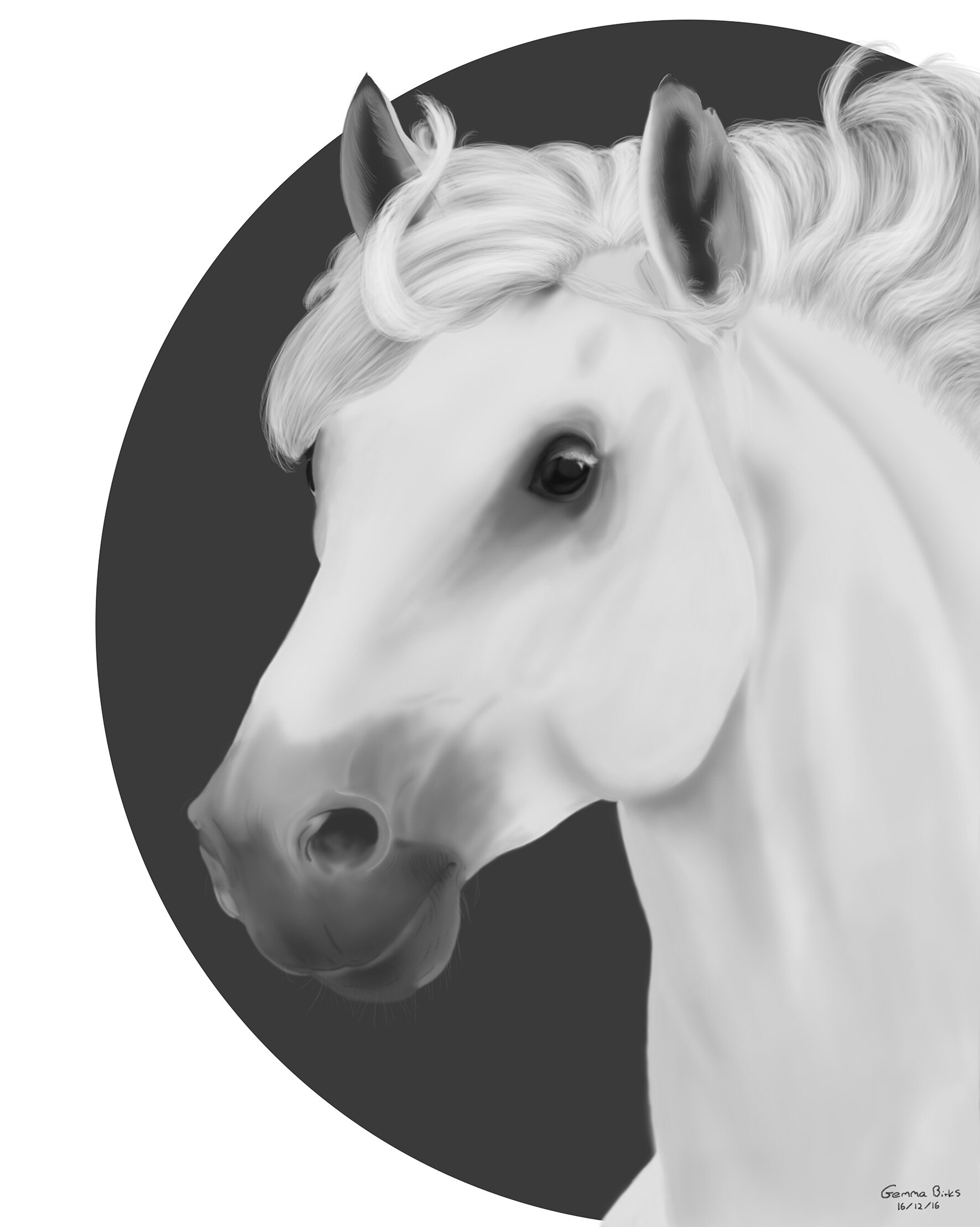 White-Horse-2016.jpg