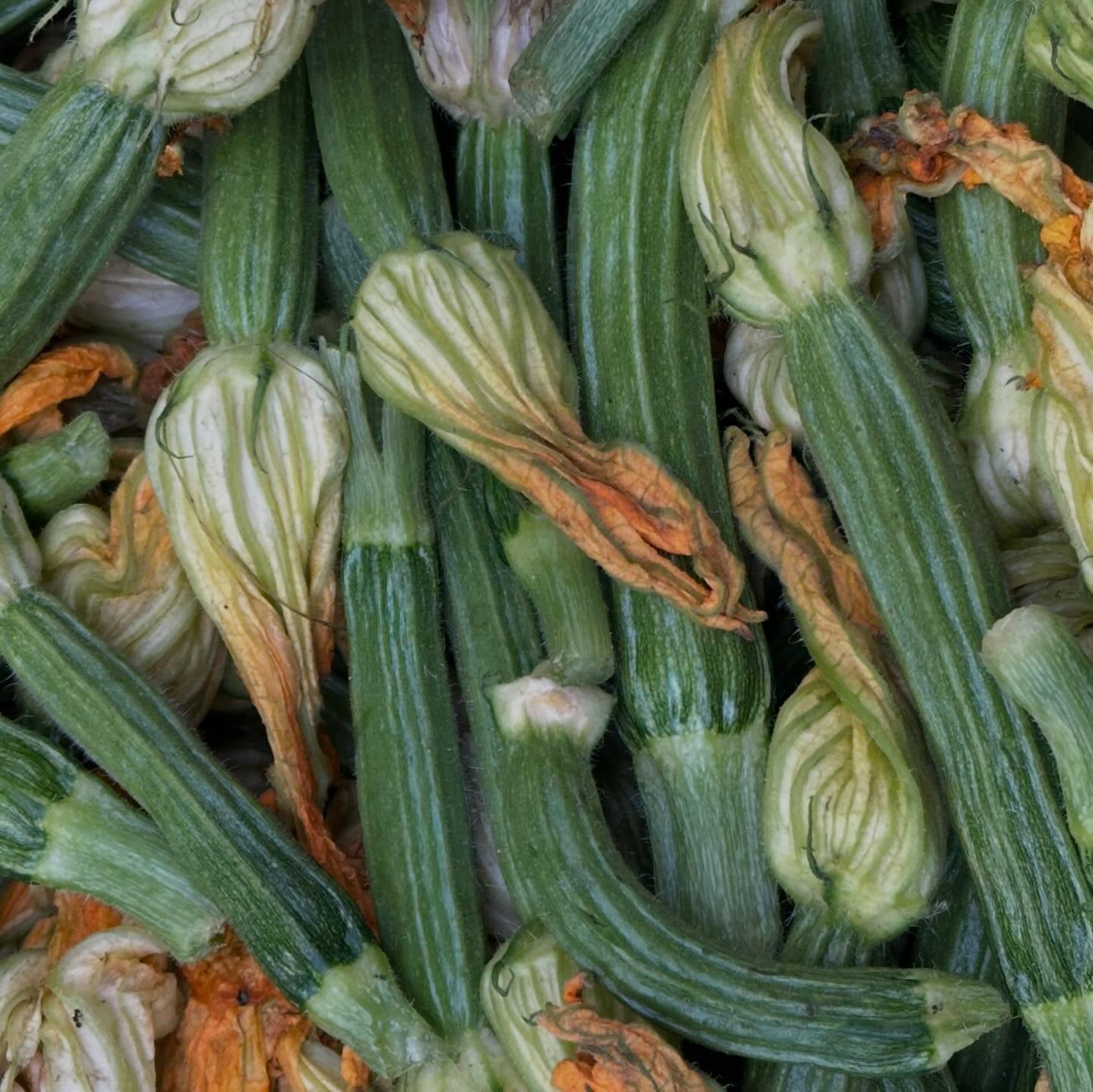 &hellip;Testaccio Market&hellip; feast for all senses&hellip;#itinerario