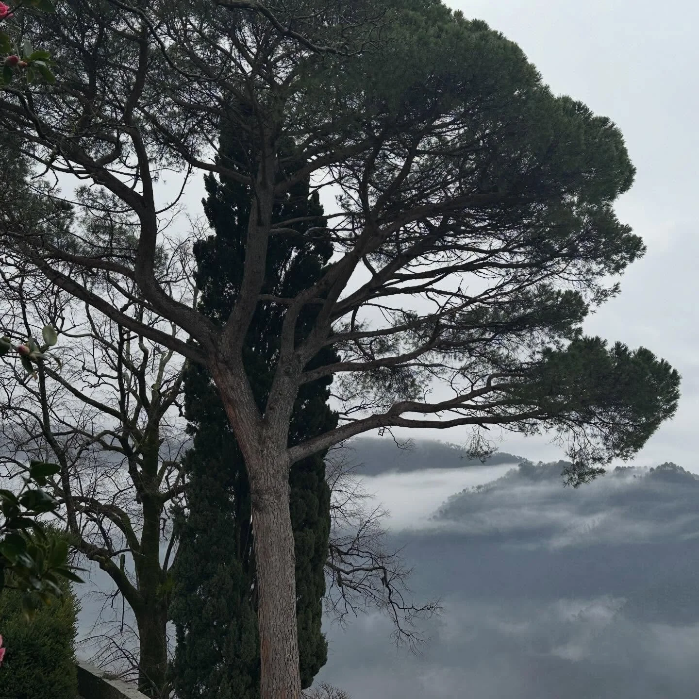 &hellip;inland&hellip;behind the marble mountains&hellip;Brancoli beckons&hellip; #nebbia #watercolor #Tuscany #happyplace