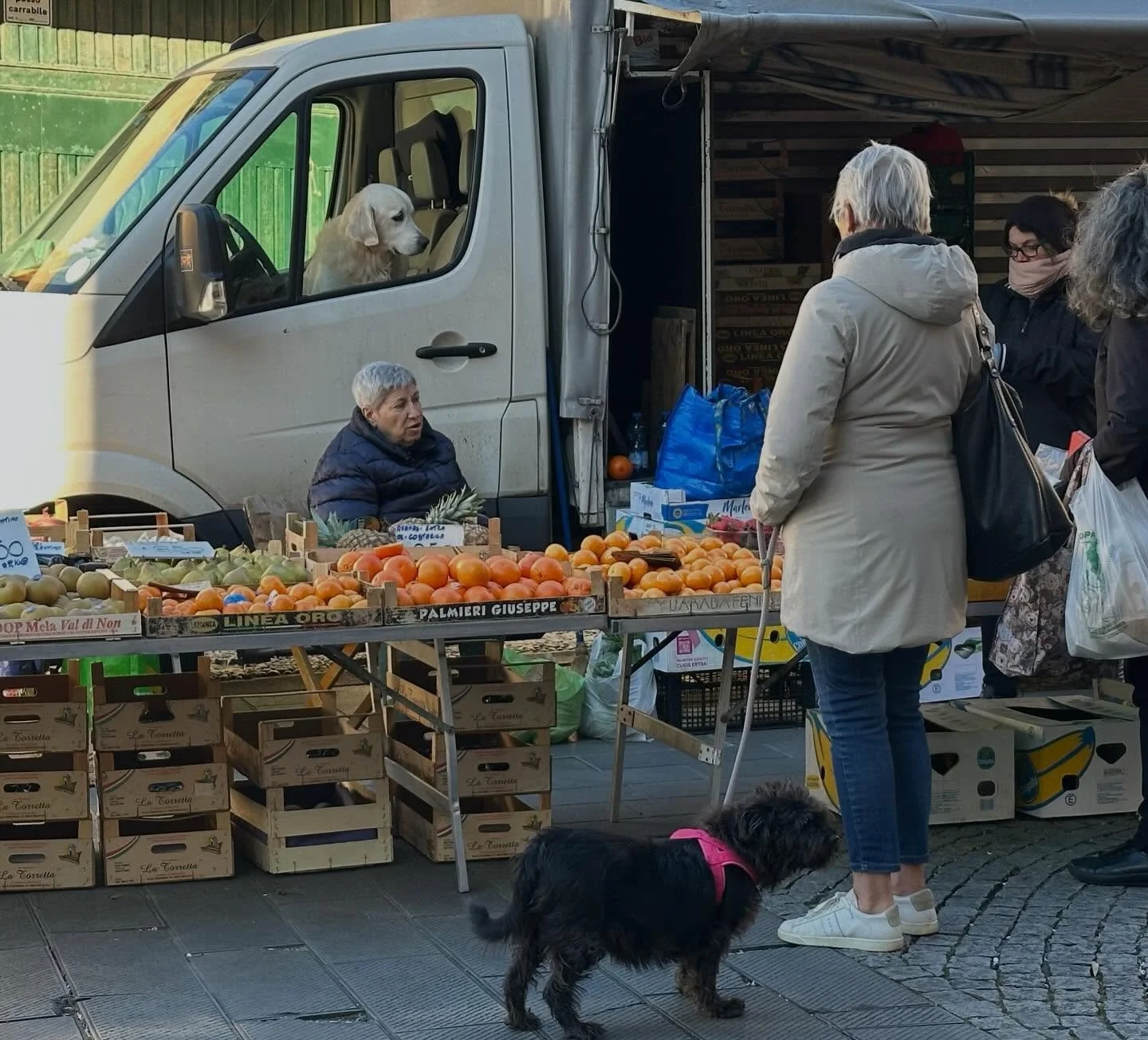 &hellip;even the tiny markets here are full of freshness&hellip; #bogliasco #italy #liguria