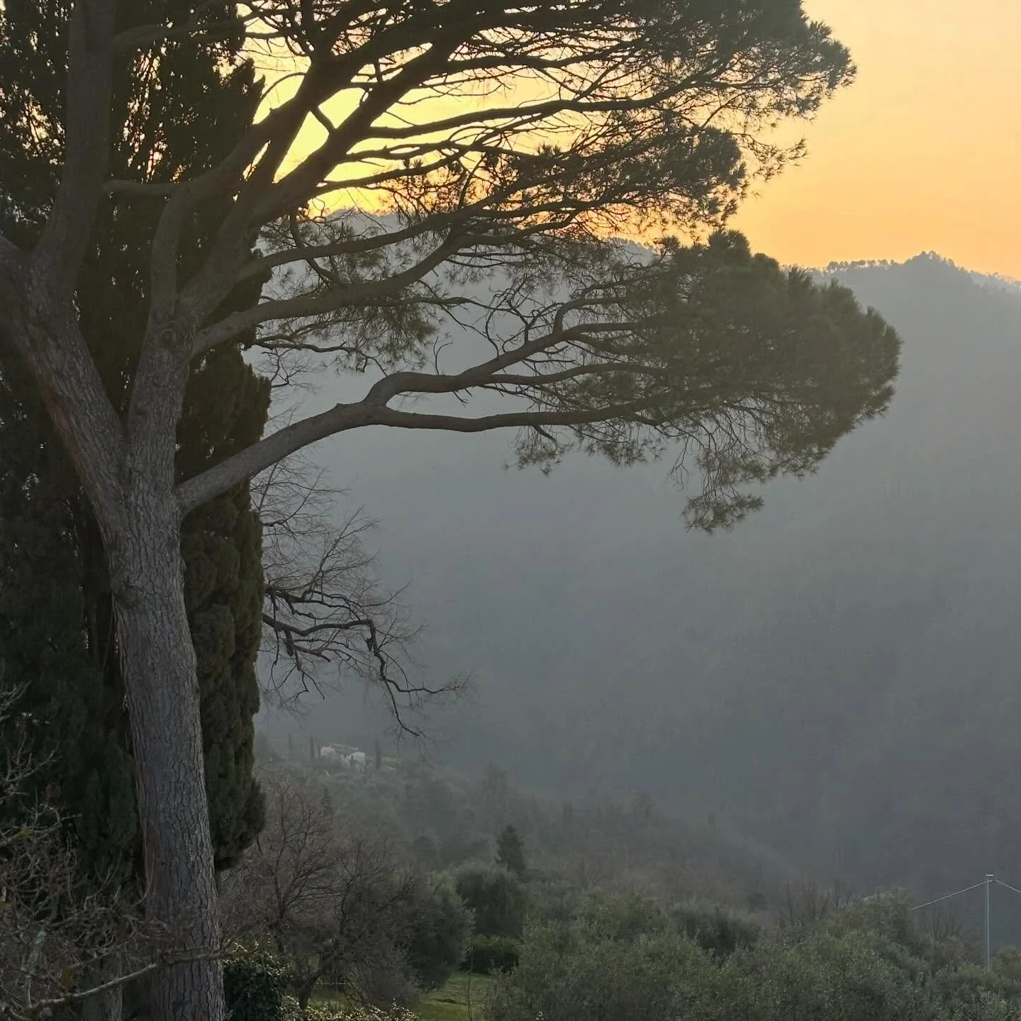 &hellip;march 7 spring morning in Pieve di Brancoli&hellip;
#wandering #itinerario #italy #compleanno