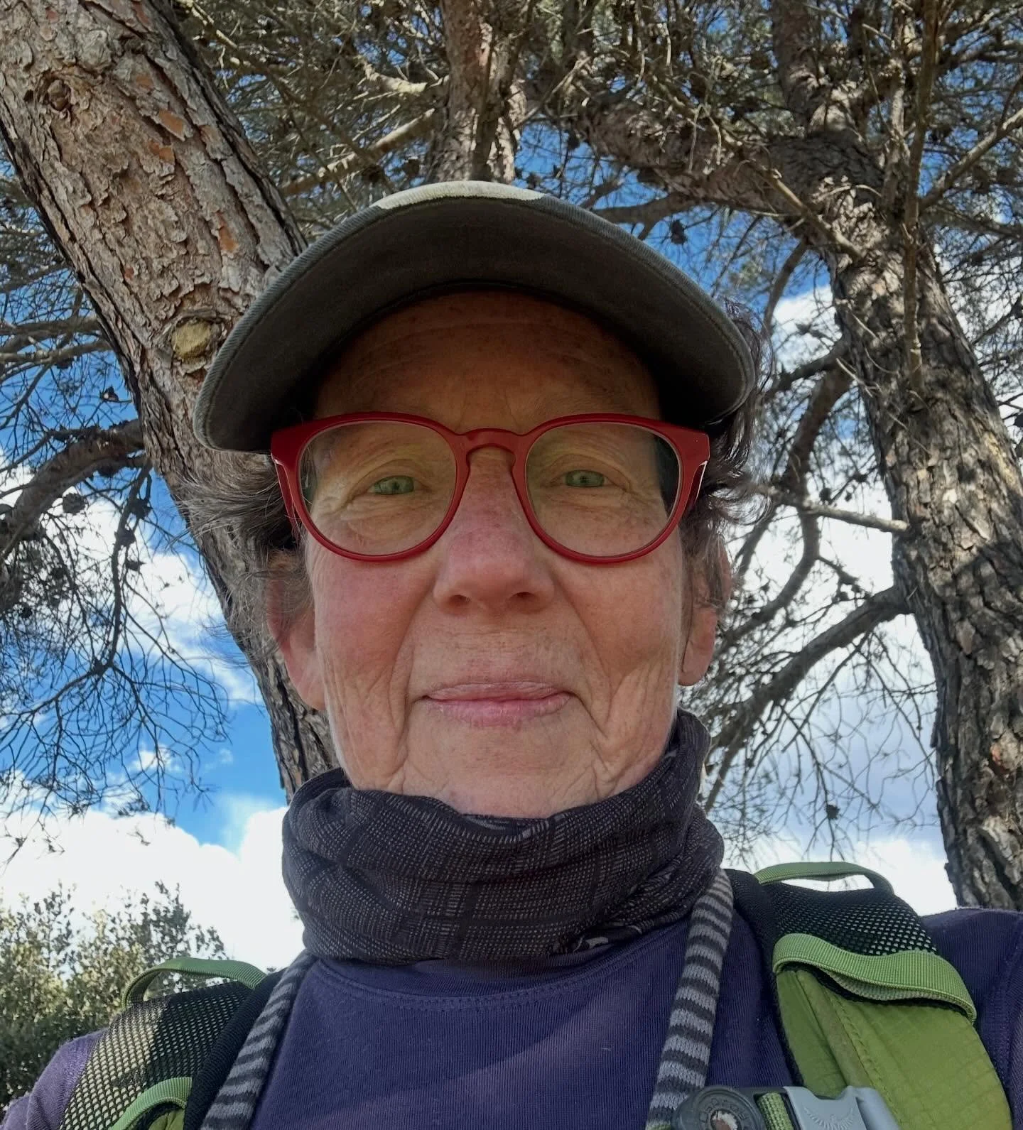 &hellip;hiking above le vieux village de Roquebrune&hellip;windy, bright cold day&hellip; scent of orangeblossoms&hellip; blooming rock roses, toadflax, thyme, rosemary, bay, euphorbia&hellip;sea views&hellip; views of &ldquo;the highest town in Les 