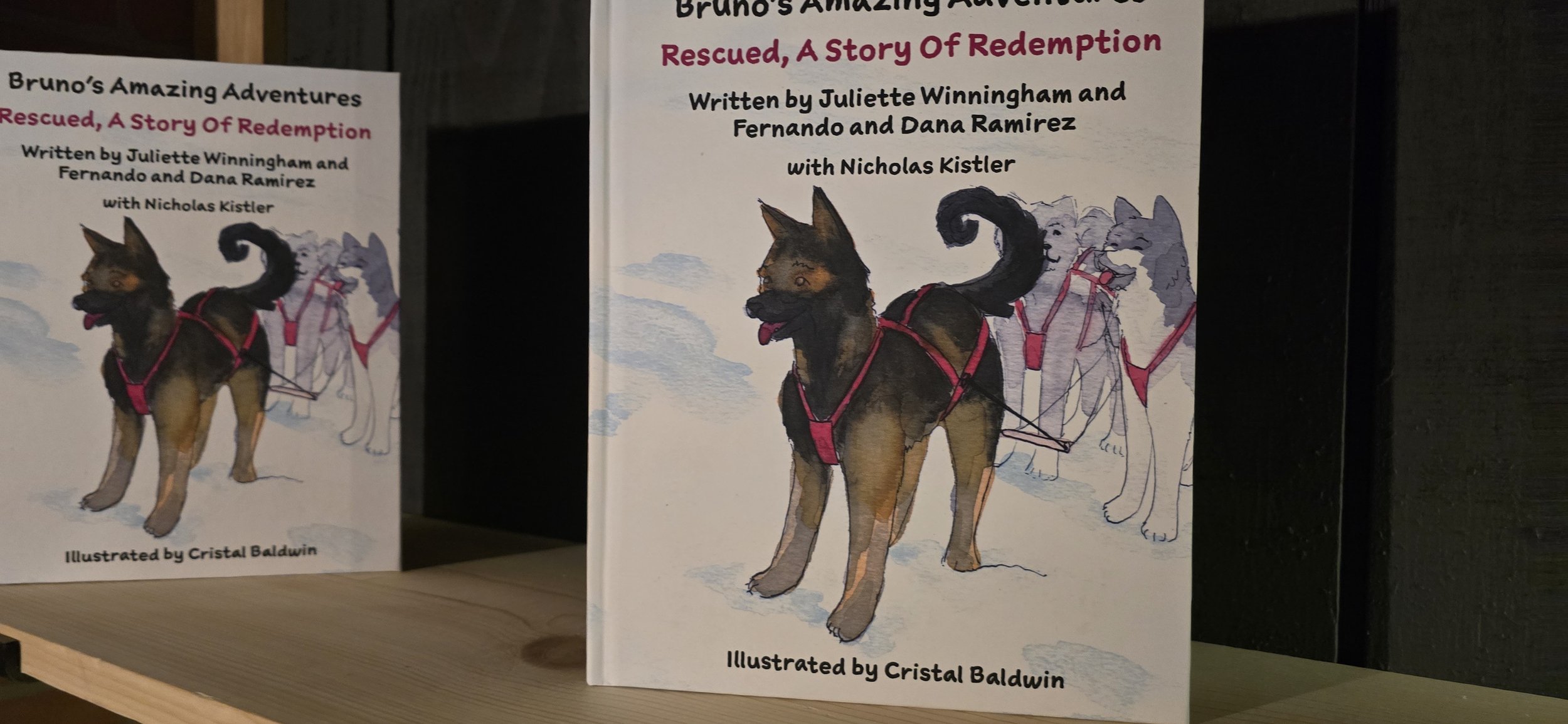 Humberto’s Children’s Book