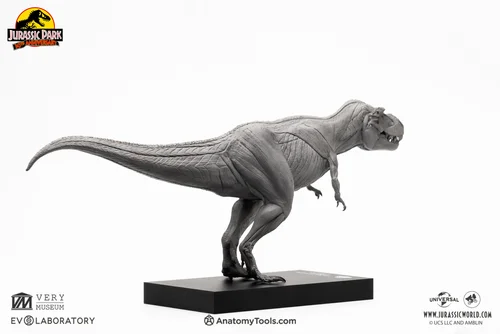 Trex Male 1:32 Anatomy BP