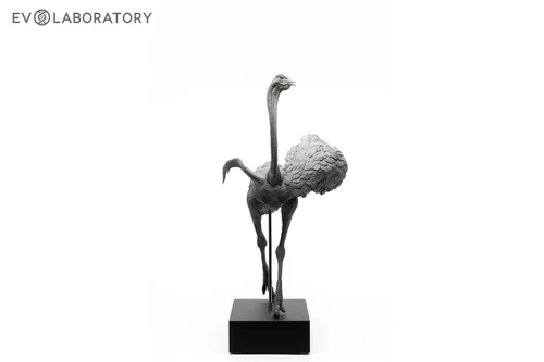 Ostrich 1:10 Anatomy BP