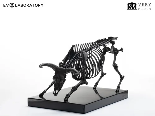 BULL SKELETON 1/12 BRONZE